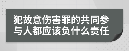 犯故意伤害罪的共同参与人都应该负什么责任