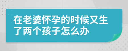 在老婆怀孕的时候又生了两个孩子怎么办