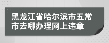 黑龙江省哈尔滨市五常市去哪办理网上违章