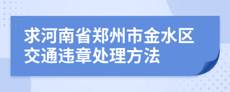 求河南省郑州市金水区交通违章处理方法