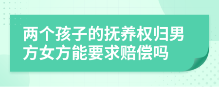 两个孩子的抚养权归男方女方能要求赔偿吗