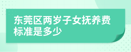 东莞区两岁子女抚养费标准是多少