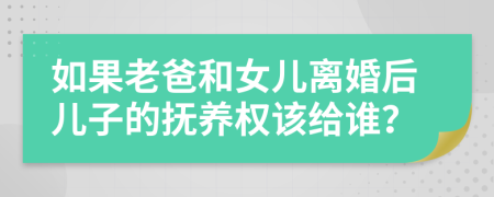 如果老爸和女儿离婚后儿子的抚养权该给谁？