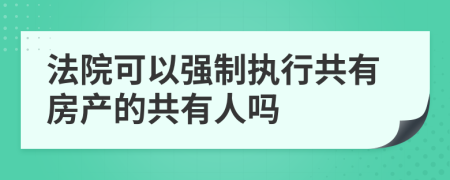 法院可以强制执行共有房产的共有人吗