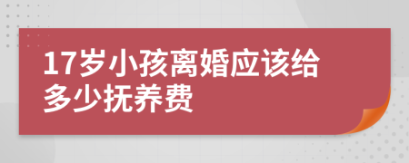 17岁小孩离婚应该给多少抚养费