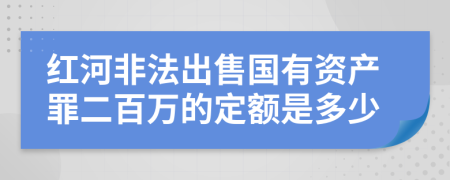 红河非法出售国有资产罪二百万的定额是多少