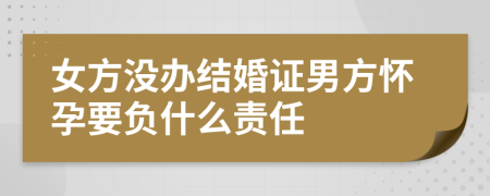 女方没办结婚证男方怀孕要负什么责任