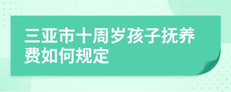 三亚市十周岁孩子抚养费如何规定