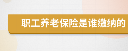 职工养老保险是谁缴纳的