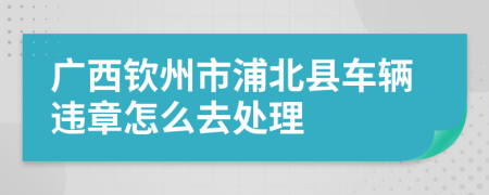 广西钦州市浦北县车辆违章怎么去处理