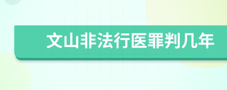 文山非法行医罪判几年