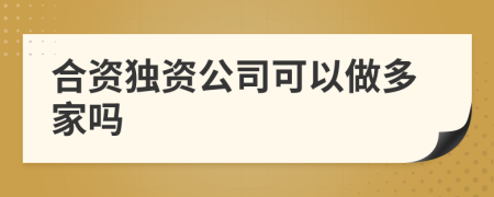 合资独资公司可以做多家吗