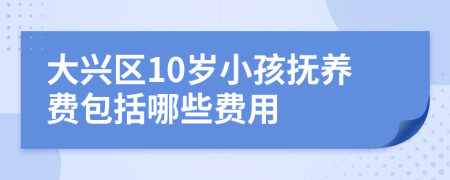 大兴区10岁小孩抚养费包括哪些费用