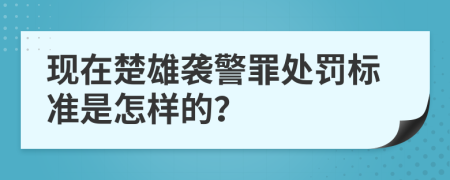 现在楚雄袭警罪处罚标准是怎样的？