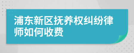 浦东新区抚养权纠纷律师如何收费