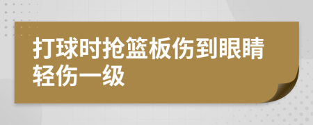 打球时抢篮板伤到眼睛轻伤一级