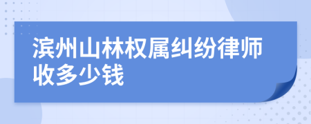 滨州山林权属纠纷律师收多少钱