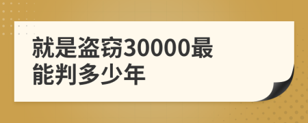 就是盗窃30000最能判多少年