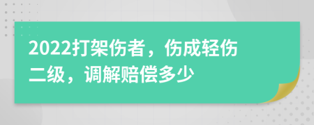 2022打架伤者，伤成轻伤二级，调解赔偿多少