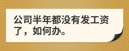 公司半年都没有发工资了，如何办。