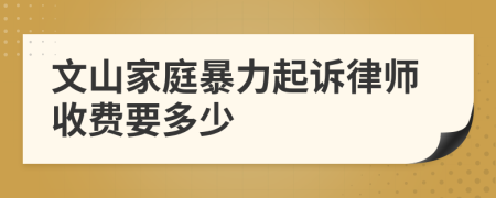 文山家庭暴力起诉律师收费要多少