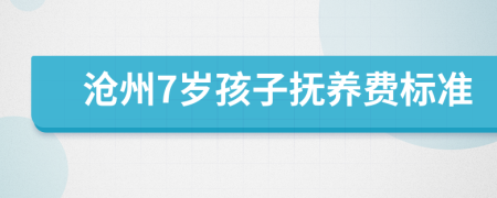 沧州7岁孩子抚养费标准