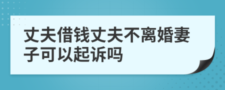 丈夫借钱丈夫不离婚妻子可以起诉吗