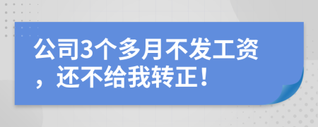 公司3个多月不发工资，还不给我转正！