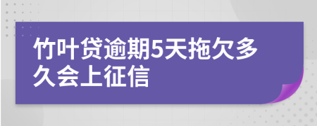 竹叶贷逾期5天拖欠多久会上征信