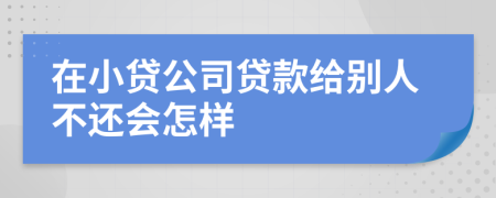 在小贷公司贷款给别人不还会怎样