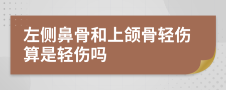 左侧鼻骨和上颌骨轻伤算是轻伤吗