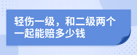 轻伤一级，和二级两个一起能赔多少钱