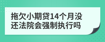 拖欠小期贷14个月没还法院会强制执行吗