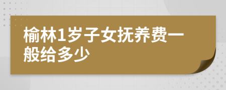 榆林1岁子女抚养费一般给多少