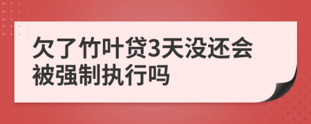 欠了竹叶贷3天没还会被强制执行吗