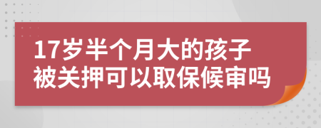 17岁半个月大的孩子被关押可以取保候审吗