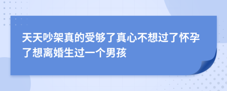 天天吵架真的受够了真心不想过了怀孕了想离婚生过一个男孩