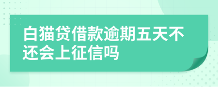 白猫贷借款逾期五天不还会上征信吗