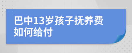 巴中13岁孩子抚养费如何给付