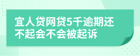 宜人贷网贷5千逾期还不起会不会被起诉