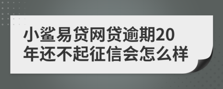 小鲨易贷网贷逾期20年还不起征信会怎么样
