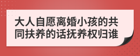 大人自愿离婚小孩的共同扶养的话抚养权归谁