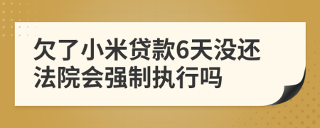 欠了小米贷款6天没还法院会强制执行吗