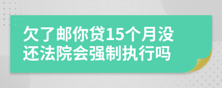 欠了邮你贷15个月没还法院会强制执行吗