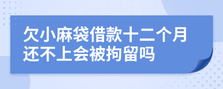 欠小麻袋借款十二个月还不上会被拘留吗