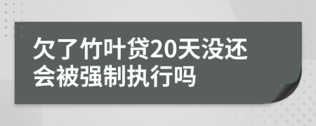 欠了竹叶贷20天没还会被强制执行吗