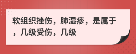 软组织挫伤，肺湿疹，是属于，几级受伤，几级