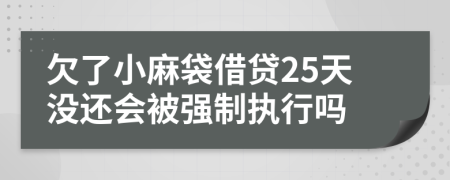 欠了小麻袋借贷25天没还会被强制执行吗