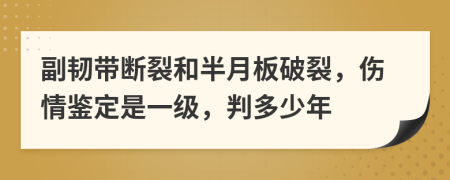 副韧带断裂和半月板破裂，伤情鉴定是一级，判多少年