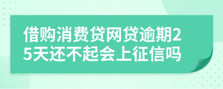 借购消费贷网贷逾期25天还不起会上征信吗